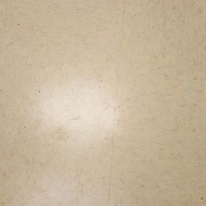 Meet your Posher, Jose